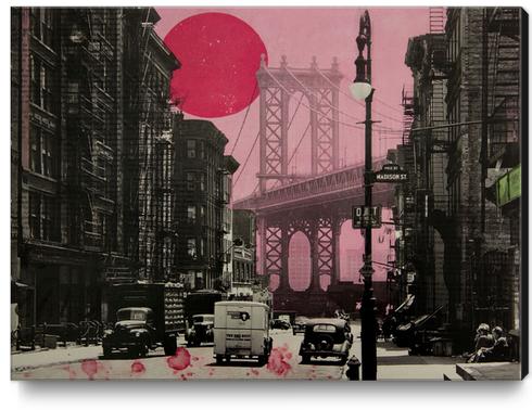 PINK HAZE Canvas Print by db Waterman