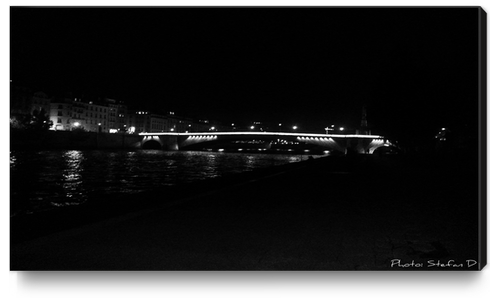 Pont de Paris Canvas Print by Stefan D