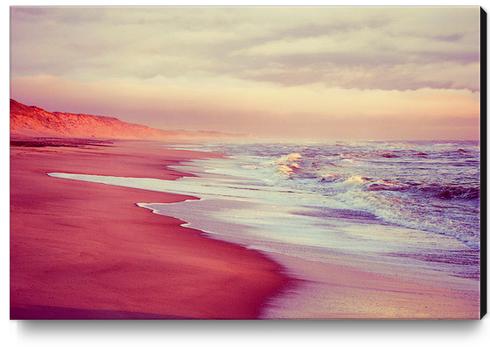 DREAM BEACH Canvas Print by DANIEL COULMANN