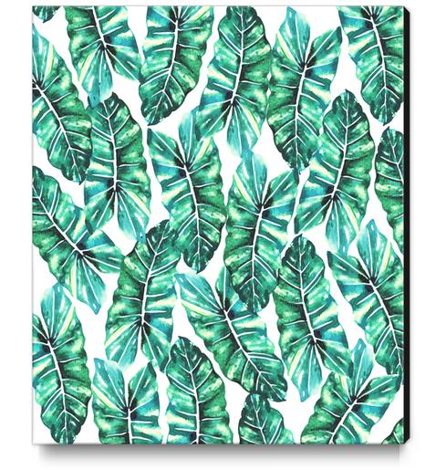 Leafy Wonder V2 Canvas Print by Uma Gokhale