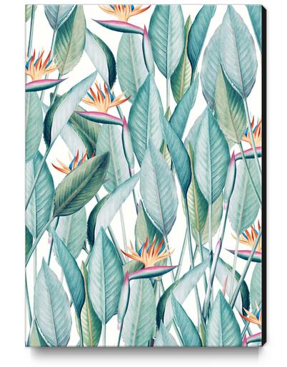 Back to Paradise Island Canvas Print by Uma Gokhale