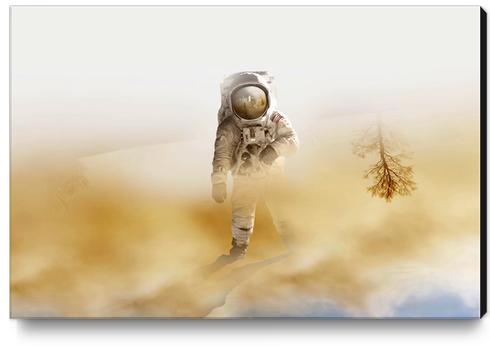 Playing Mars on the desert Canvas Print by fokafoka