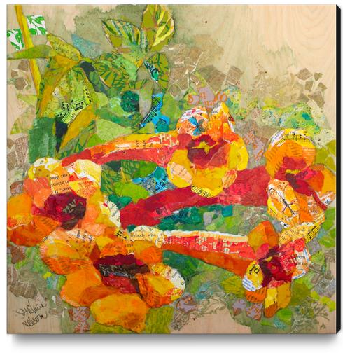 Trumpet Vine Canvas Print by Elizabeth St. Hilaire