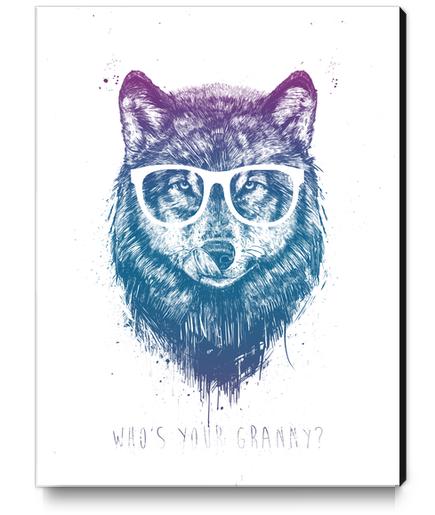 Who's your granny? Canvas Print by Balazs Solti