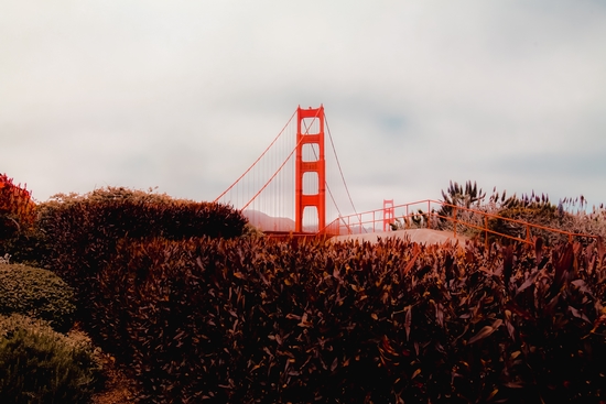 Golden Gate Bridge San francisco USA with cloudy sky by Timmy333