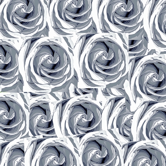 closeup white rose texture pattern abstract background by Timmy333