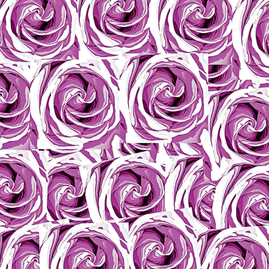 closeup pink rose texture pattern abstract background by Timmy333