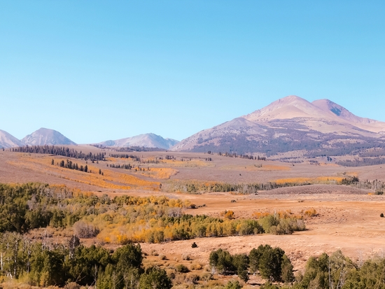 autumn tree with mountain view in California USA by Timmy333