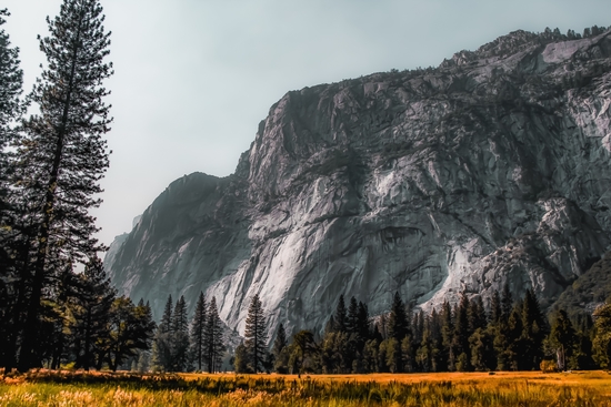 mountain with pine tree at Yosemite national park California USA by Timmy333