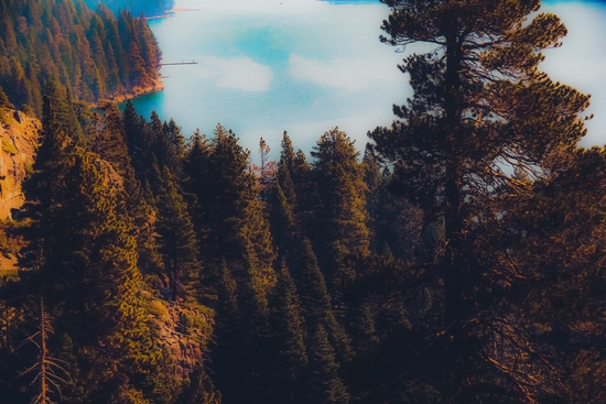 Lake and pine tree at Emerald Bay Lake Tahoe California USA by Timmy333