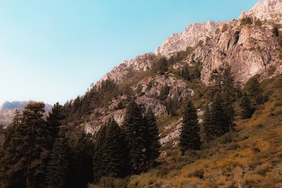 pine tree on the mountain at Lake Tahoe Emerald bay California USA by Timmy333