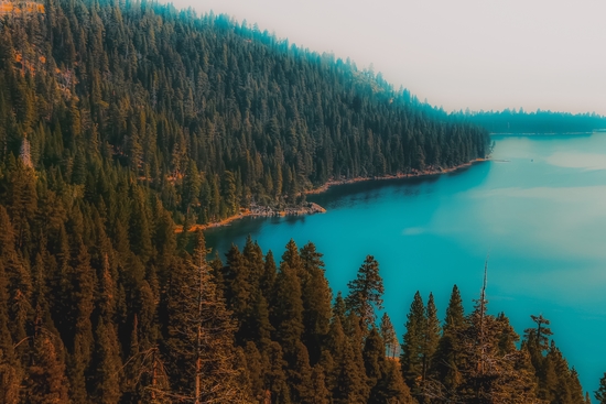 Pine tree and lake view at Emerald Bay Lake Tahoe California USA by Timmy333