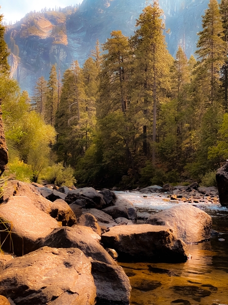 river and pine tree at Yosemite national park USA by Timmy333