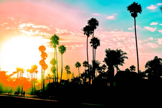 beach summer sunset with palm tree and blue sky by Timmy333