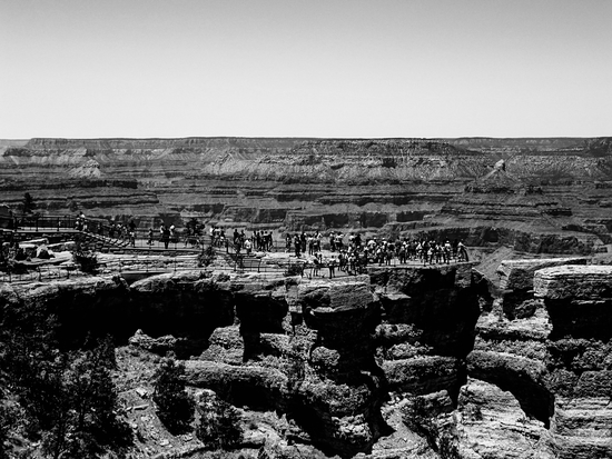 at Grand Canyon national park, USA in black and white by Timmy333