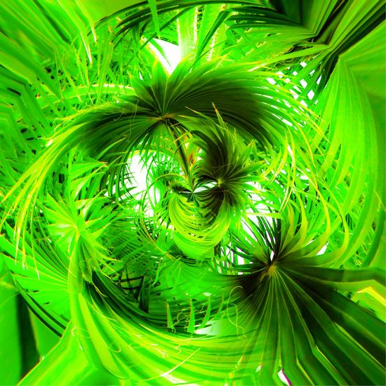 spiral green leaves texture abstract background by Timmy333