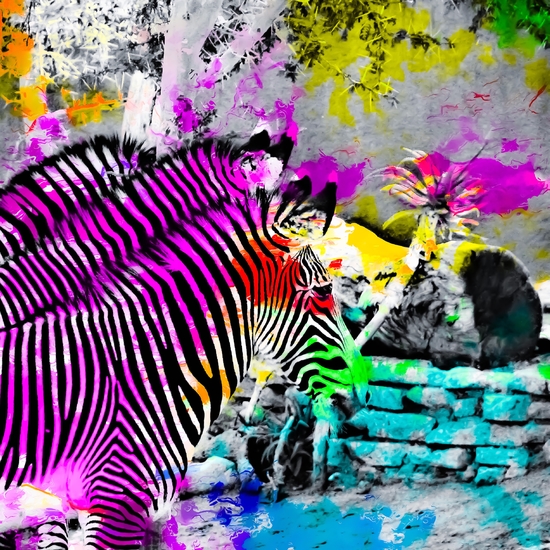 colorful zebra with painting texture abstract in pink yellow blue green by Timmy333