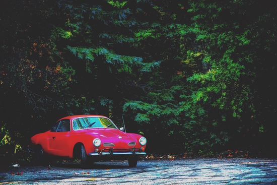 red classic car in the forest with green tree background by Timmy333