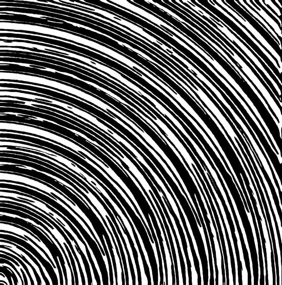 black and white circle curly line pattern abstract  by Timmy333