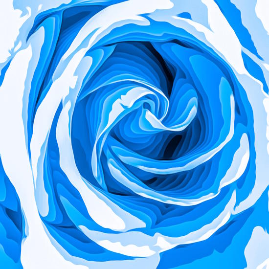 closeup blue rose texture abstract background by Timmy333