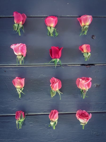 pink roses and red rose on the table by Timmy333