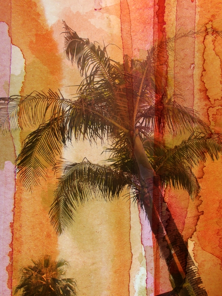 Palm Tree by Irena Orlov