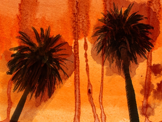 Sunset Palms by Irena Orlov