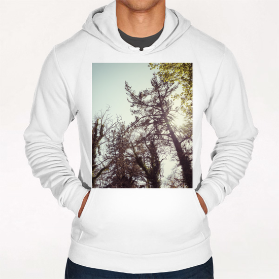 Trees Hoodie by Salvatore Russolillo