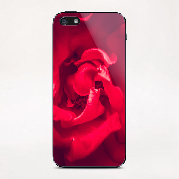 closeup red rose iPhone & iPod Skin by Timmy333