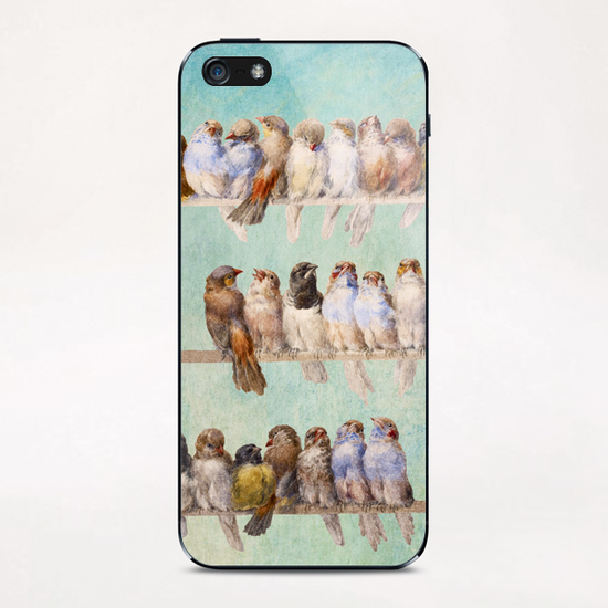 Birds Birds Birds iPhone & iPod Skin by DVerissimo