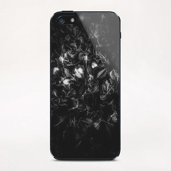 leaves texture in black and white iPhone & iPod Skin by Timmy333