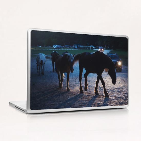 Light behind horses Laptop & iPad Skin by Salvatore Russolillo