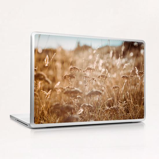 Field Laptop & iPad Skin by Salvatore Russolillo