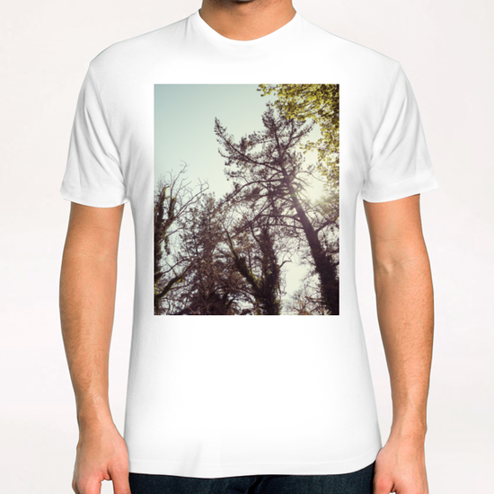 Trees T-Shirt by Salvatore Russolillo