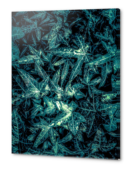 green leaves texture abstract background Acrylic prints by Timmy333