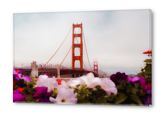 At Golden Gate bridge San Francisco California USA with foggy sky Acrylic prints by Timmy333