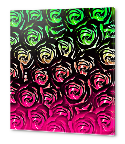 rose pattern texture abstract background in pink and green Acrylic prints by Timmy333