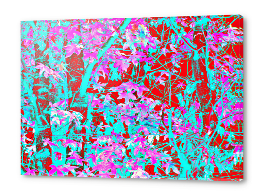 pink maple tree leaf with blue and red abstract background Acrylic prints by Timmy333