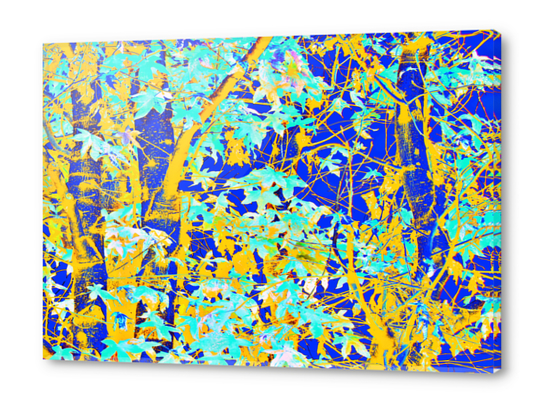 green maple tree leaf with blue and yellow abstract background Acrylic prints by Timmy333