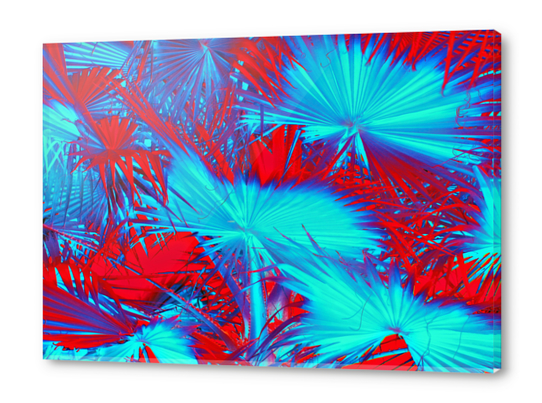 closeup palm leaf texture abstract background in blue and red Acrylic prints by Timmy333