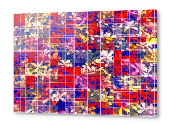 blooming flower with square pattern abstract in red and blue Acrylic prints by Timmy333