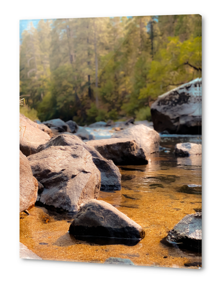 river in the forest and pine tree at Yosemite national park USA Acrylic prints by Timmy333