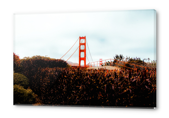 Golden Gate Bridge with blue cloudy sky at San Francisco, USA Acrylic prints by Timmy333