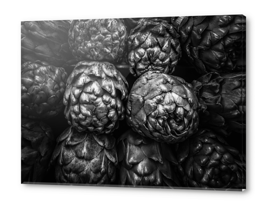 closeup artichoke texture background in black and white Acrylic prints by Timmy333