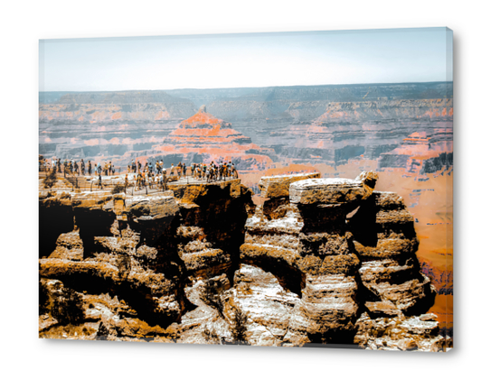 desert with blue sky at Grand Canyon national park, Arizona, USA Acrylic prints by Timmy333