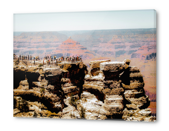 desert at Grand Canyon national park, Arizona, USA Acrylic prints by Timmy333