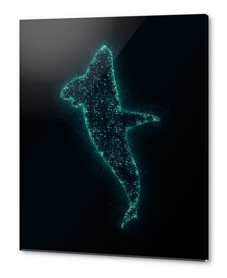 Splash Whale X 0.3 Acrylic prints by Amir Faysal