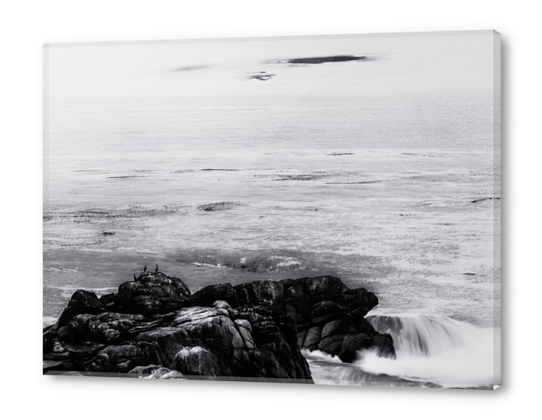 ocean sunset view in California USA in black and white Acrylic prints by Timmy333