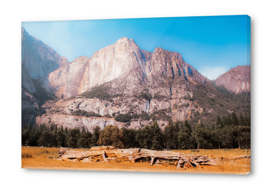 mountain at Yosemite national park California USA Acrylic prints by Timmy333