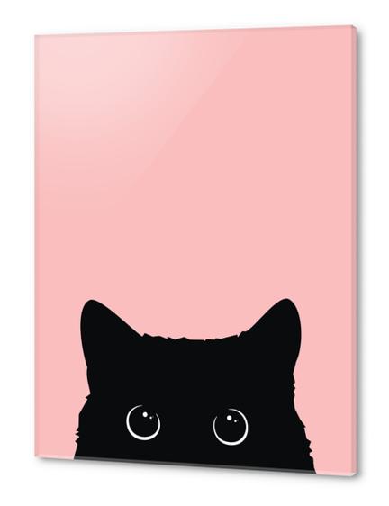 Black Cat Acrylic prints by Vitor Costa